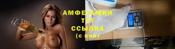 дмт Лиски