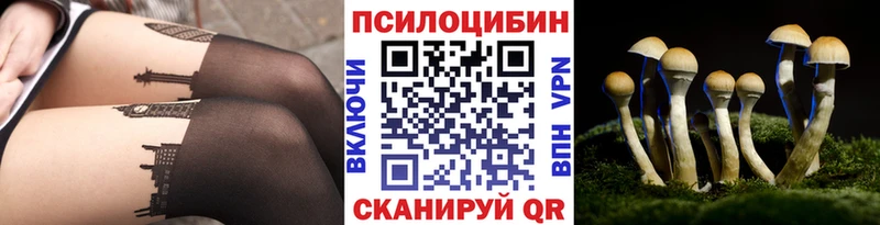 Купить закладки  Болгар  Псилоцибиновые грибы GOLDEN TEACHER 
